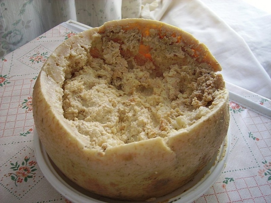 Casu Marzu, Sardinien 